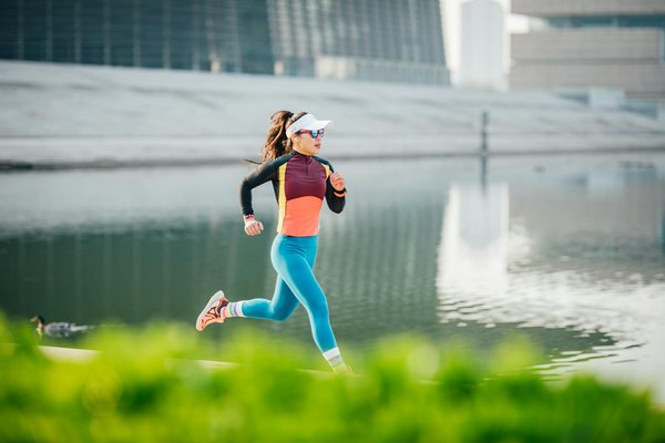 Choisissez le meilleur chanvre avec notre comparateur